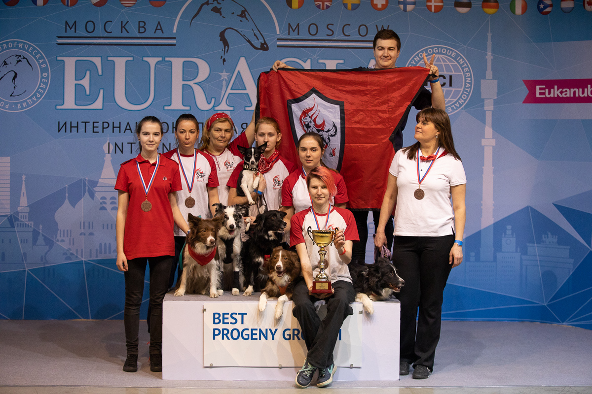 Интернациональная выставка собак «Евразия 2019», 23-24 февраля 2019