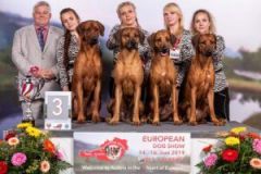 breeders_3_12702_lr_eurodogshow_wels_2019_kynoweb_ky2_8580_20190616_18_03_41-300x300