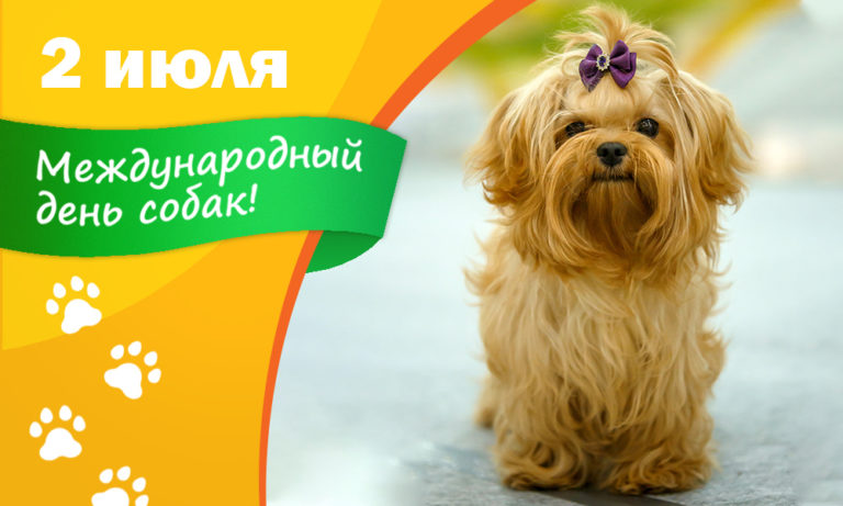 Поздравления С Днем Собак Картинки