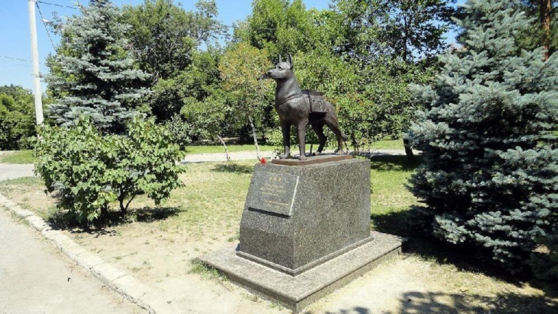 Памятник Животным Фото