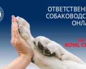 Записи вебинаров проекта «Ответственное собаководство онлайн»
