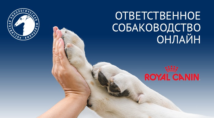 Ответственное собаководство онлайн