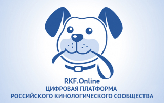 Открыта онлайн-запись на очный прием в РКФ и федерации