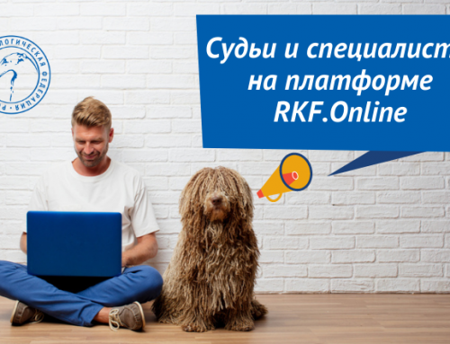 Раздел Судьи и специалисты РКФ на платформе RKF.Online