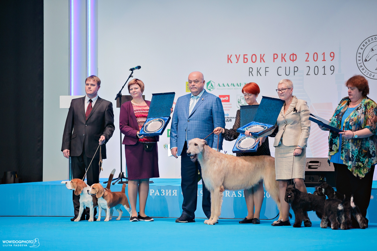 Интернациональная выставка собак «Евразия 2019», 23-24 февраля 2019
