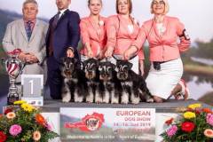 breeders_1_9948_lr_eurodogshow_wels_2019_kynoweb_ky2_8588_20190616_18_06_56-768x768