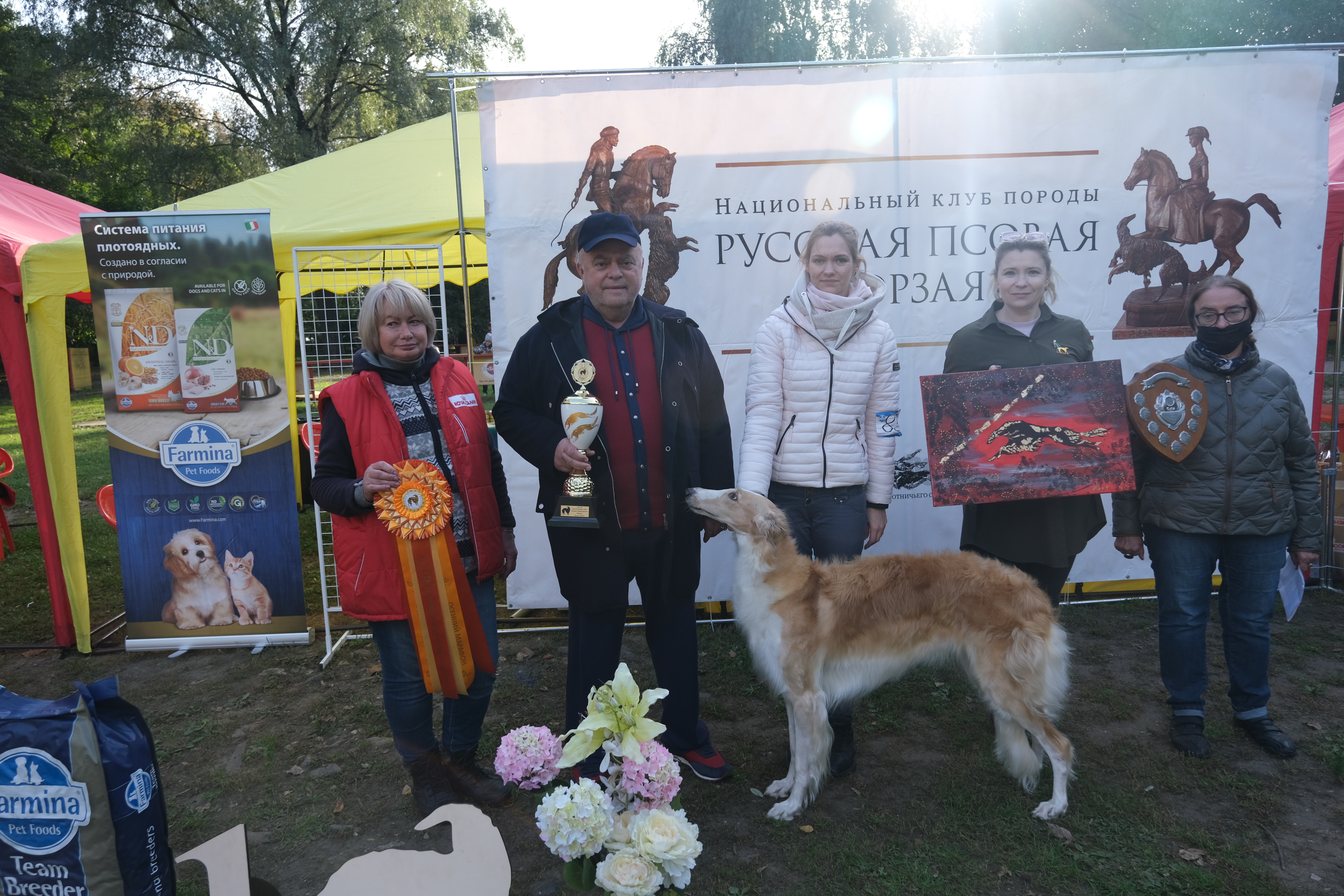 Состоялась выставка русских псовых борзых «Осенний марафон 2021»
