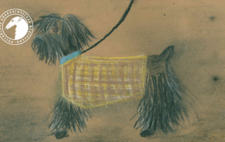 Результаты конкурса детских рисунков «Я и моя собака»