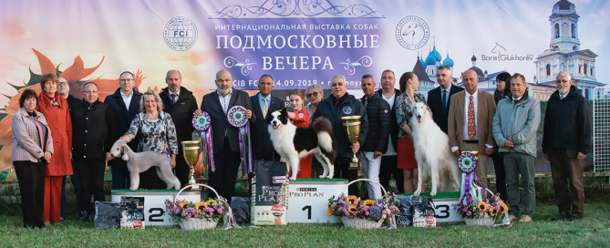 Впервые в истории якутская лайка стала Лучшей собакой интернациональной выставки!