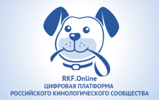 Рекомендации по работе с платформой RKF.Online