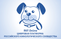 Запуск платформы RKF.online