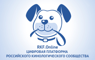 Запуск платформы RKF.online