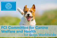 Информация FCI о создании комитета по здоровью и благополучию собак
