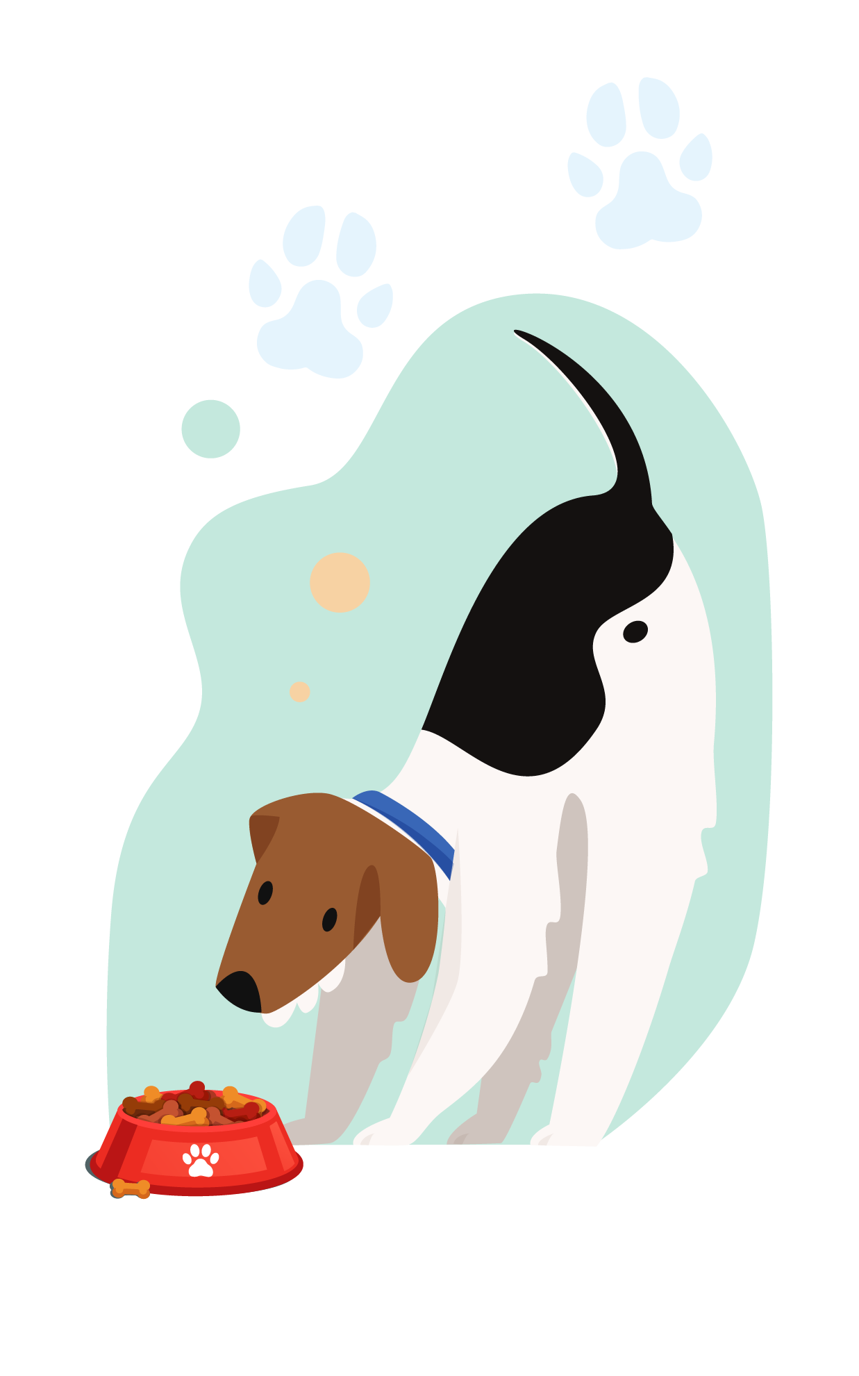 памятка_корм_2