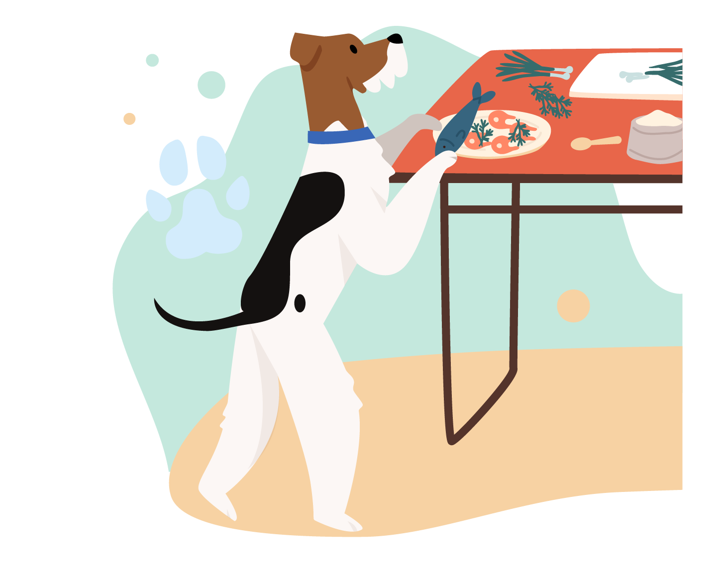 памятка_корм_3