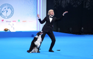 Семинар по новой редакции правил по танцам с собаками