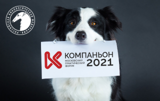 Московский практический форум «Компаньон 2021»