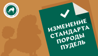 О введении в действие нового стандарта FCI породы пудель