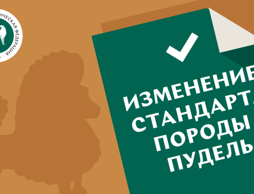 О введении в действие нового стандарта FCI породы пудель