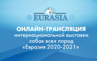 Онлайн-трансляция выставки «Евразия 2020-2021»