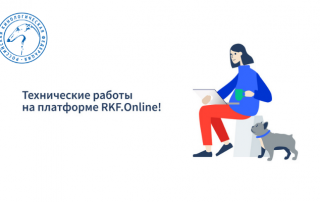 Технические работы на платформе RKF.Online 08.04.2021/09.04.2021