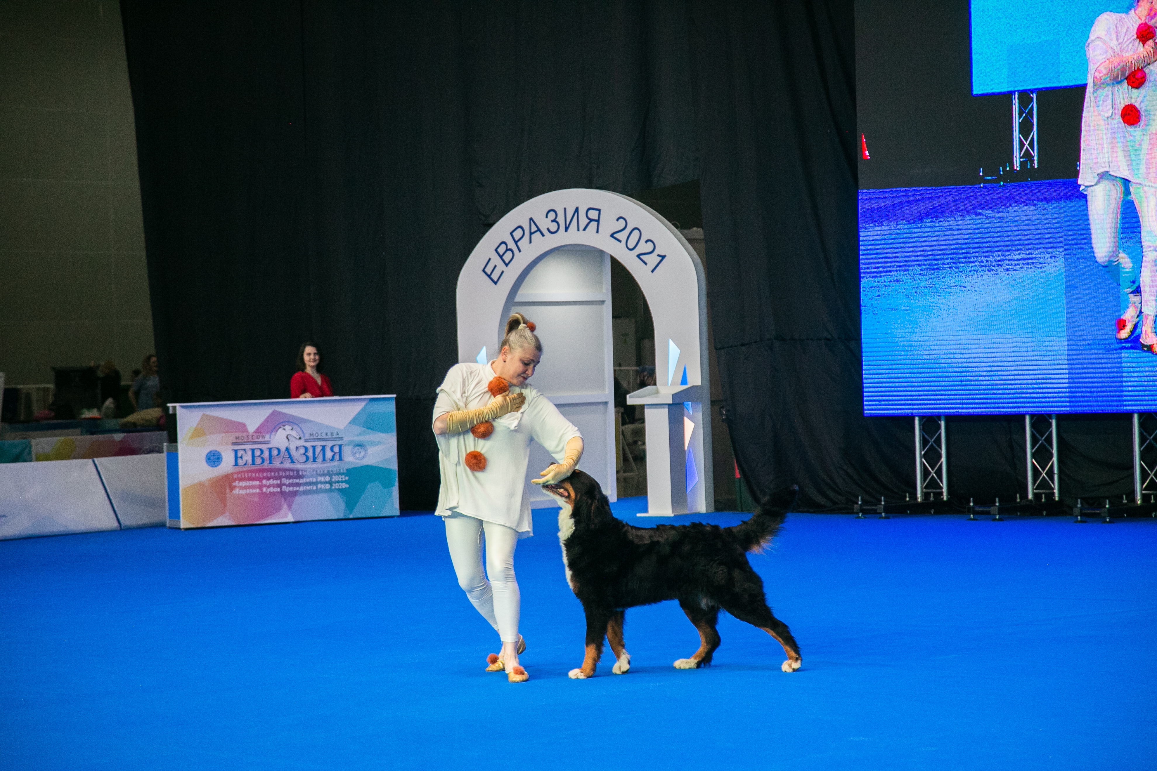 В Москве состоялись интернациональные выставки собак всех пород «Евразия. Кубок Президента РКФ 2021» & «Евразия. Кубок Президента РКФ 2020»