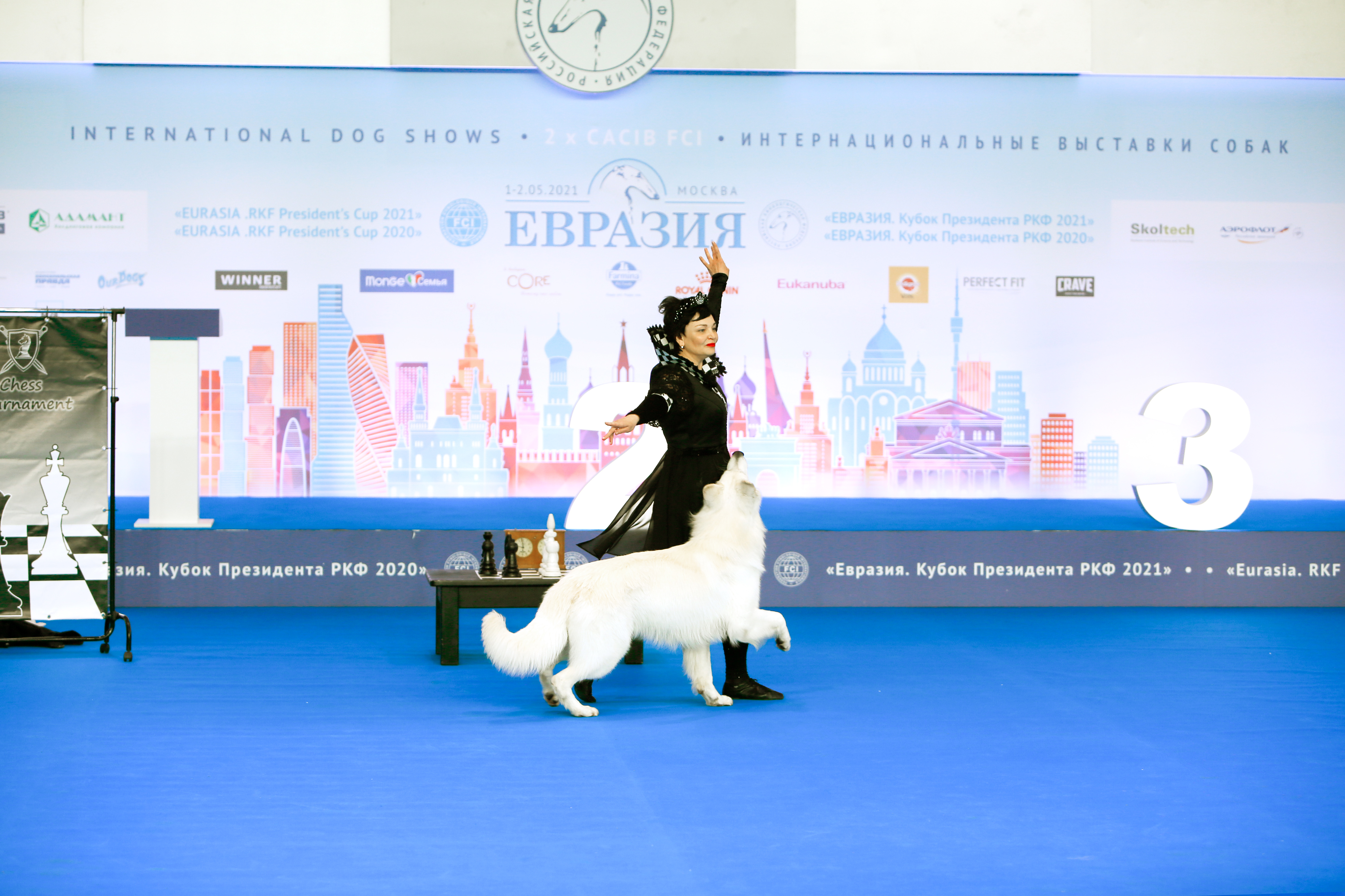 В Москве состоялись интернациональные выставки собак всех пород «Евразия. Кубок Президента РКФ 2021» & «Евразия. Кубок Президента РКФ 2020»