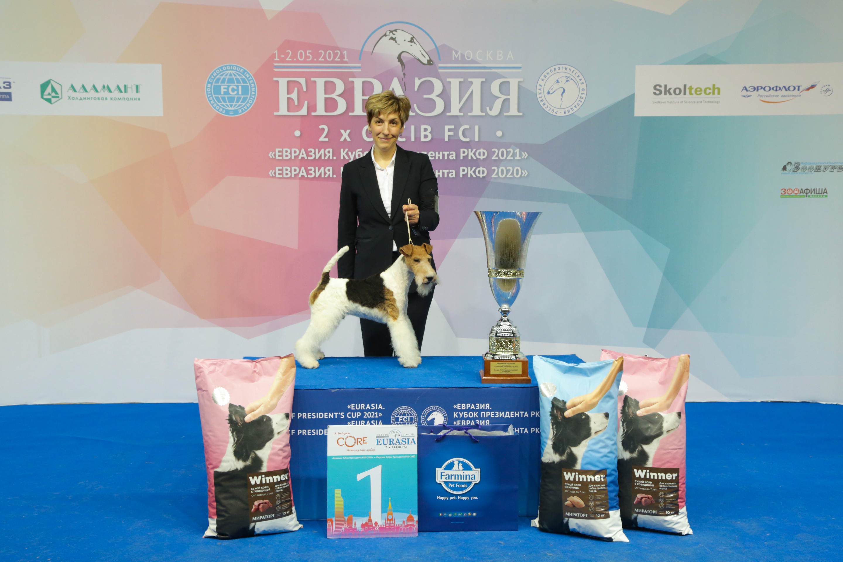 В Москве состоялись интернациональные выставки собак всех пород «Евразия. Кубок Президента РКФ 2021» & «Евразия. Кубок Президента РКФ 2020»