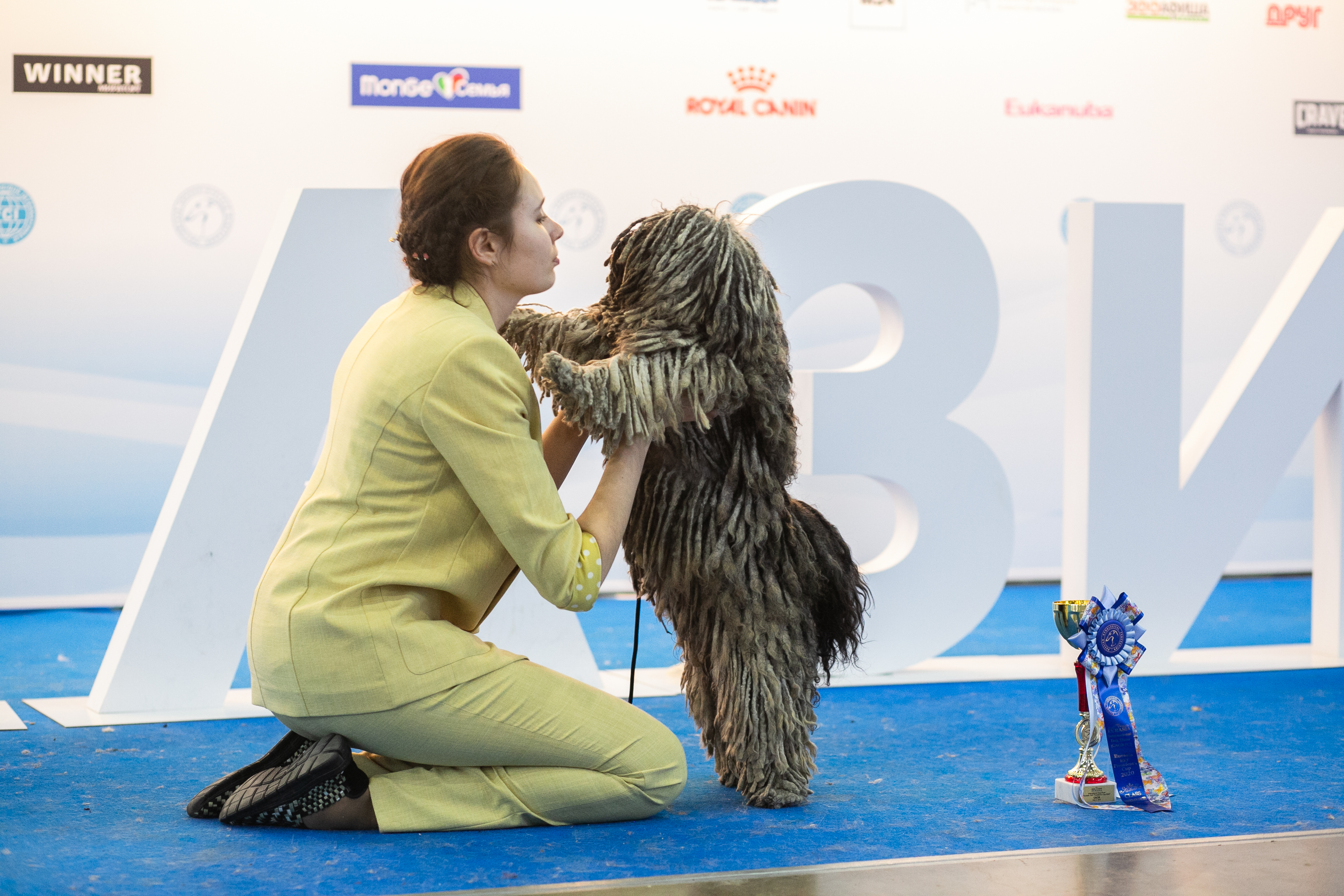 В Москве состоялись интернациональные выставки собак всех пород «Евразия. Кубок Президента РКФ 2021» & «Евразия. Кубок Президента РКФ 2020»