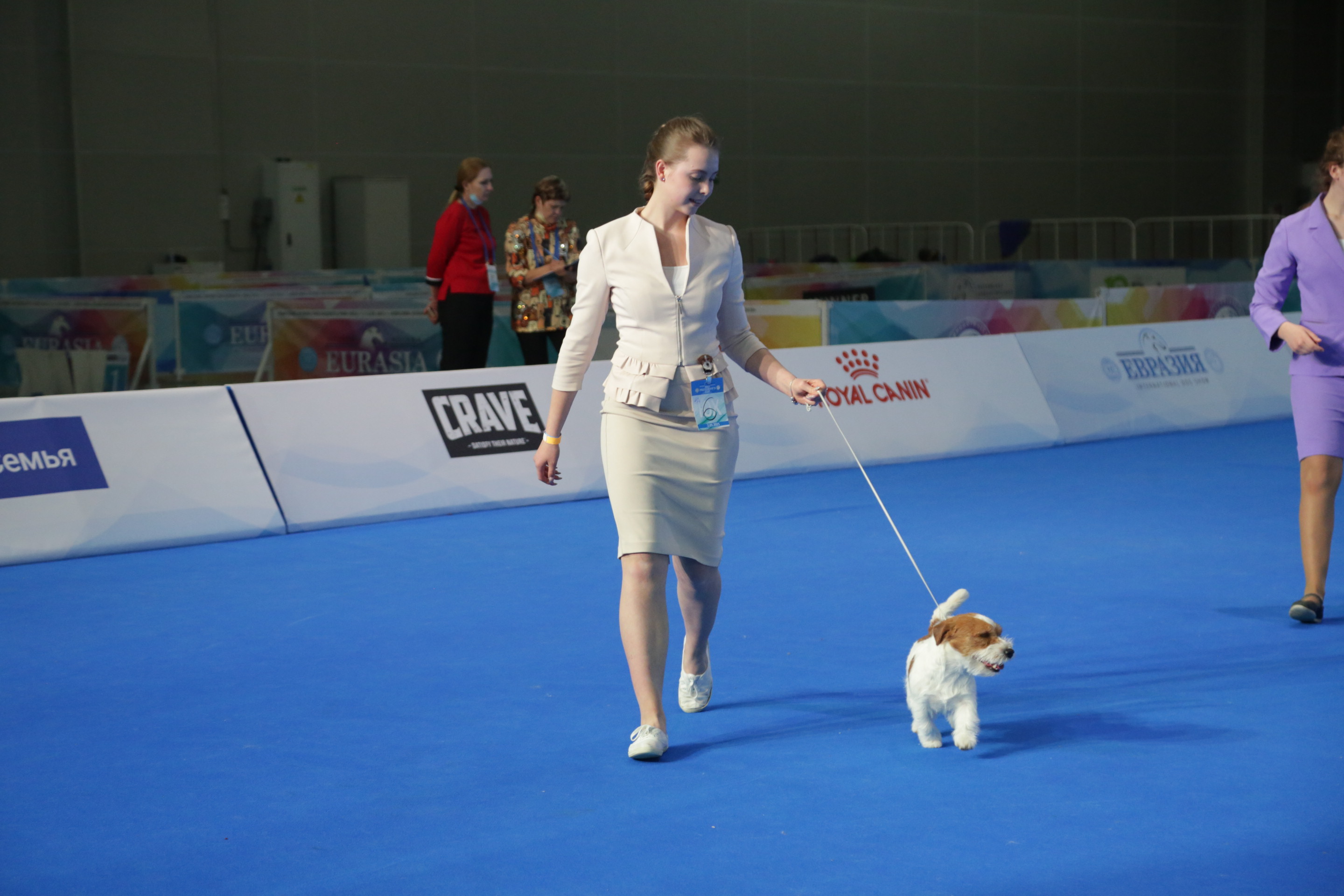 В Москве состоялись интернациональные выставки собак всех пород «Евразия. Кубок Президента РКФ 2021» & «Евразия. Кубок Президента РКФ 2020»