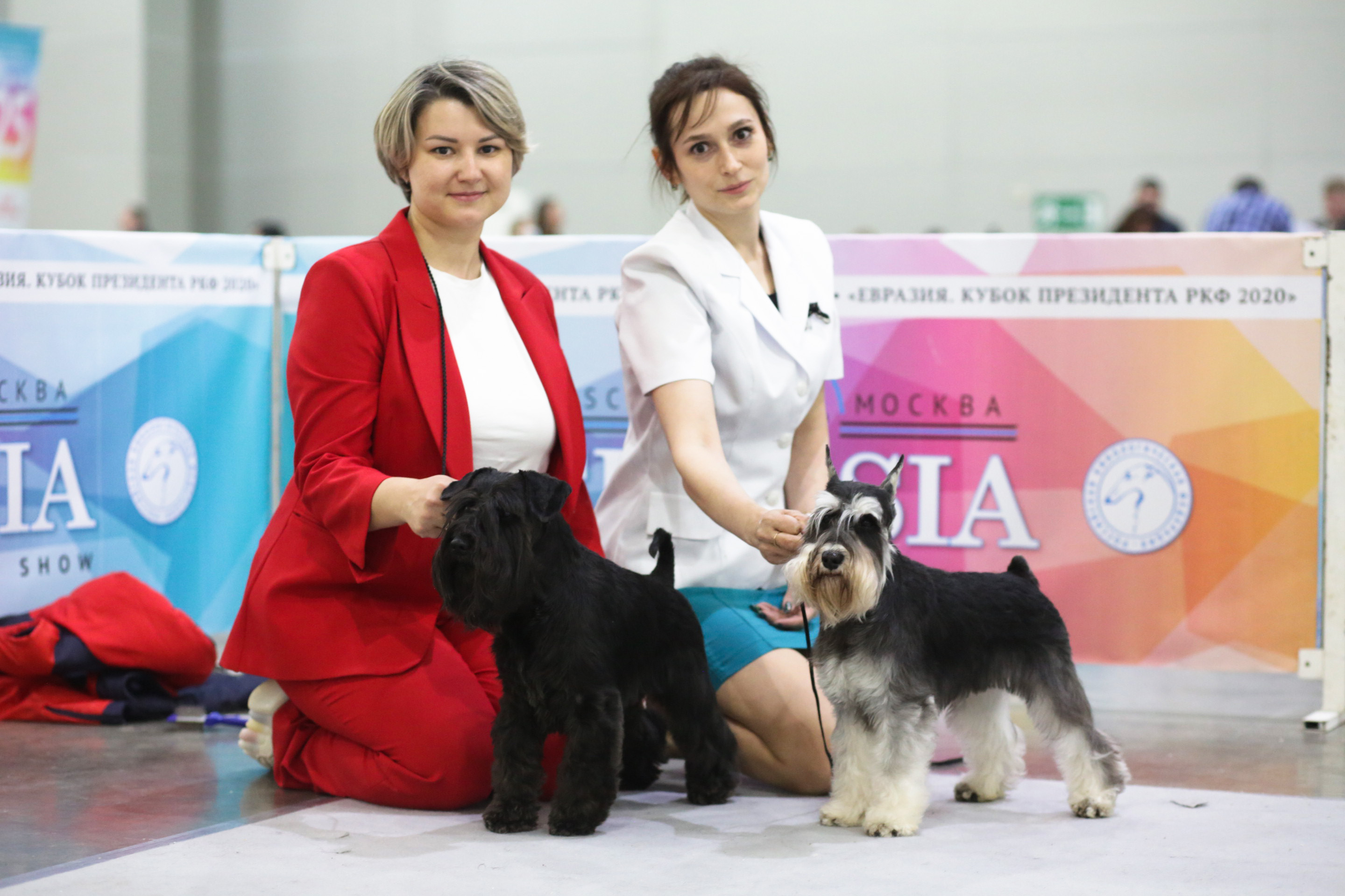 В Москве состоялись интернациональные выставки собак всех пород «Евразия. Кубок Президента РКФ 2021» & «Евразия. Кубок Президента РКФ 2020»