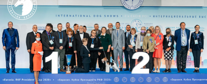 В Москве состоялись интернациональные выставки собак всех пород «Евразия. Кубок Президента РКФ 2021» & «Евразия. Кубок Президента РКФ 2020»