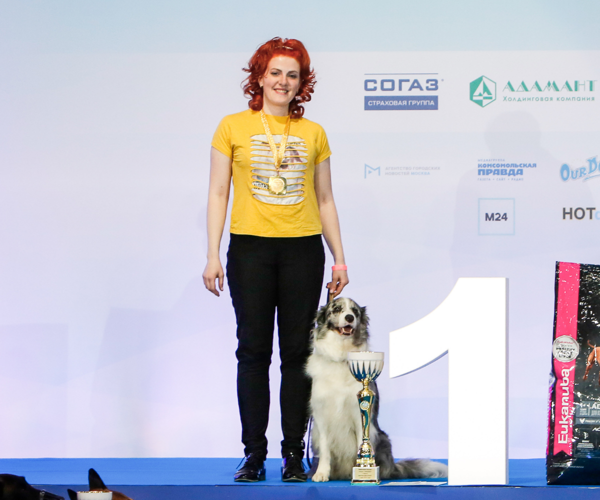 В Москве состоялись интернациональные выставки собак всех пород «Евразия. Кубок Президента РКФ 2021» & «Евразия. Кубок Президента РКФ 2020»