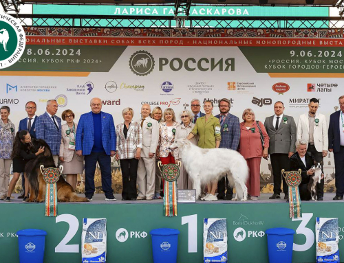 В Московской области состоялась выставка собак всех пород «Россия 2024»