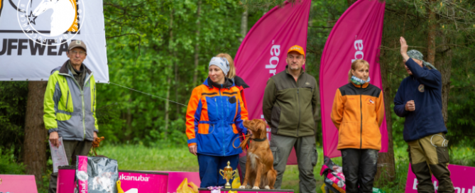 В минувшие выходные состоялся Чемпионат РКФ среди собак-спасателей