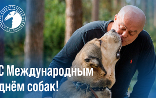 Поздравление президента РКФ Владимира Семёновича Голубева с Международным днём собак