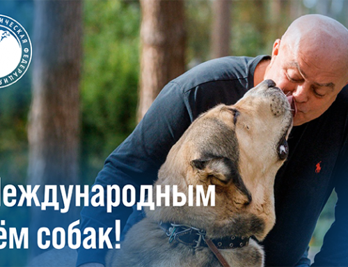 Поздравление президента РКФ Владимира Семёновича Голубева с Международным днём собак