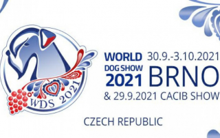 Обращение президента РКФ В.С. Голубева по поводу Всемирной выставки собак 2021