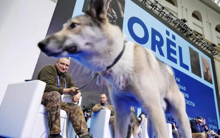 ВЫСТАВКА «ORЁLEXPO 2021»: ДЕЛОВОЙ ФОРУМ И ПЛОЩАДКА ДЛЯ ДИСКУССИЙ