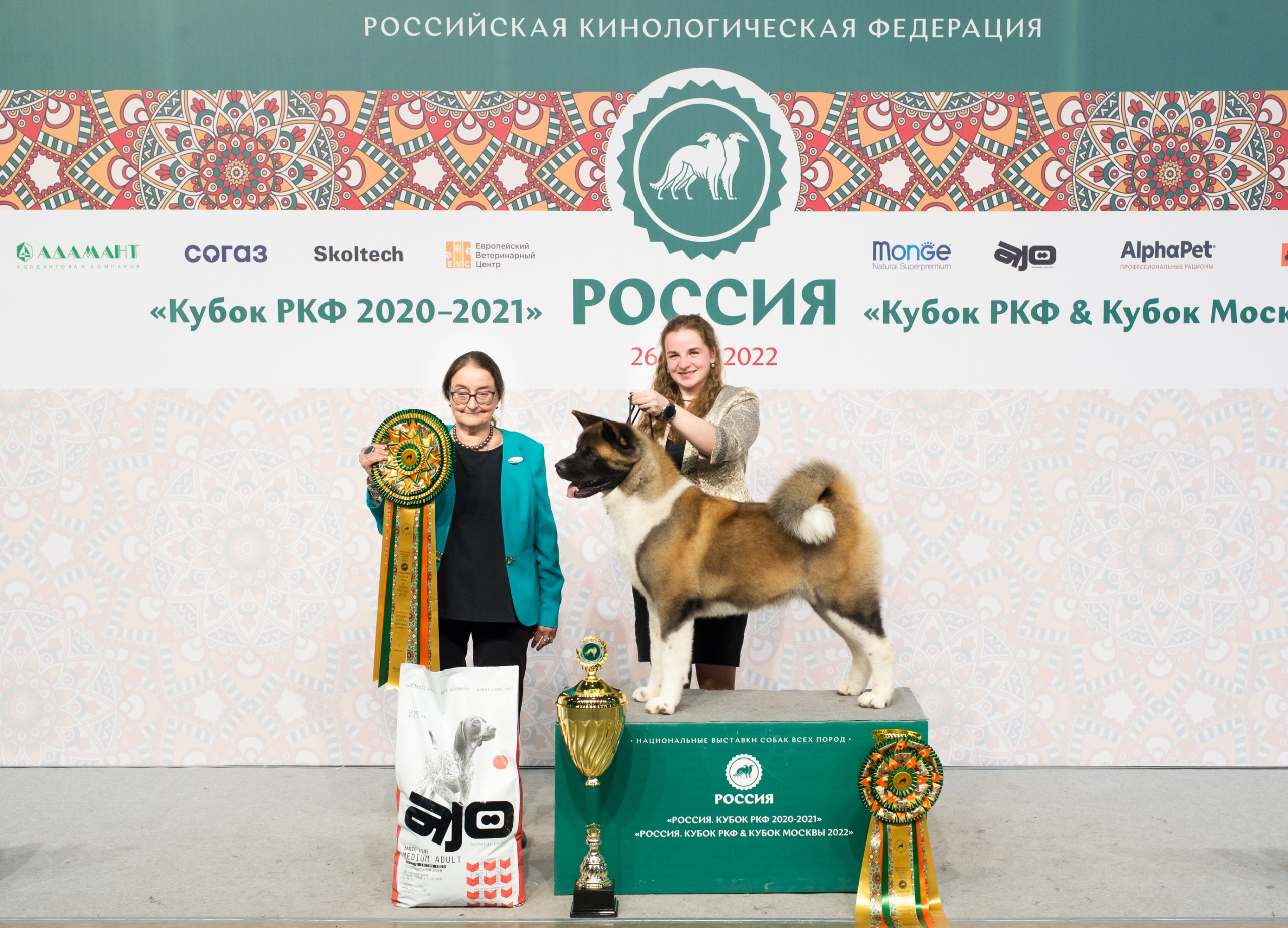 Выставка собак Россия 2022. Лучшая собака выставки 27.11.2022. Американская акита