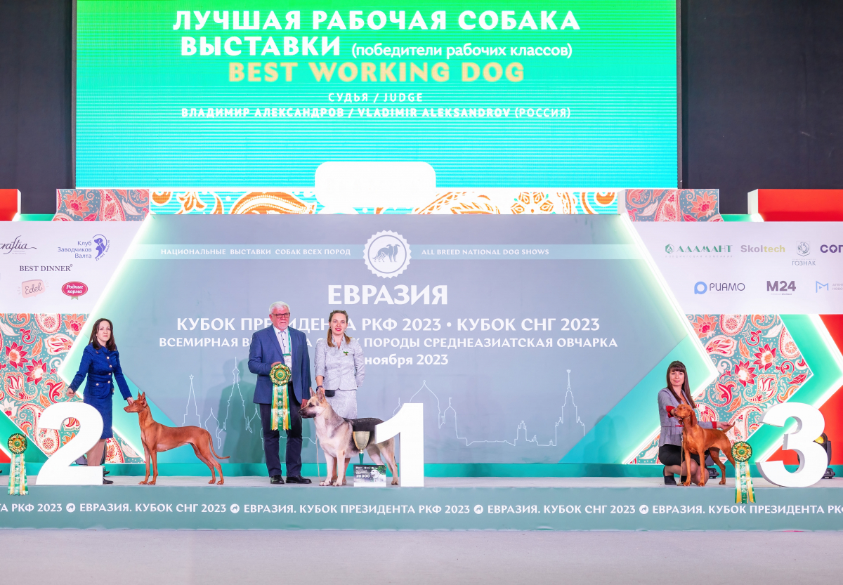 Регистрация и подача заявки