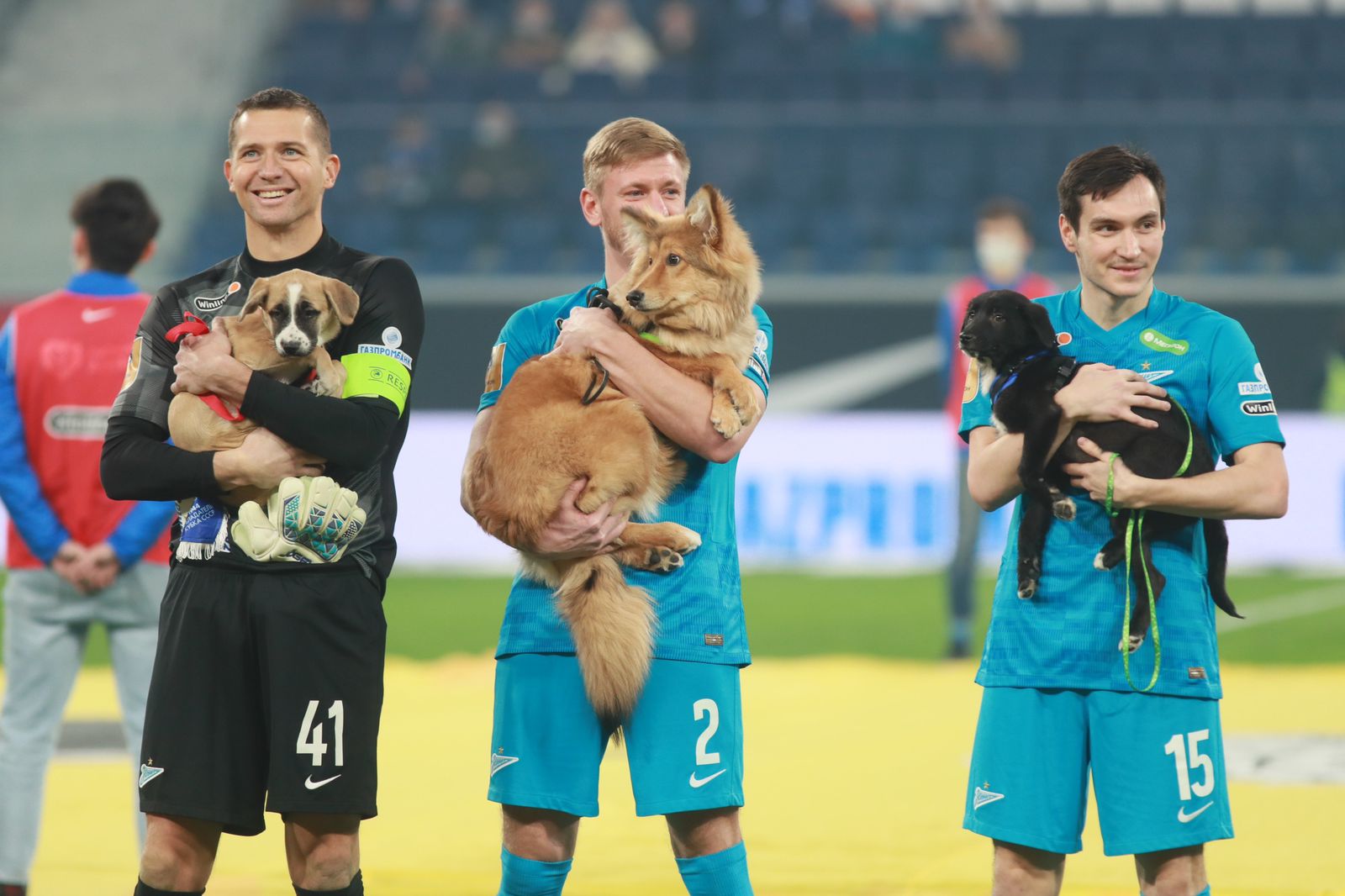 «Собакам лучше дома!»: Совместный проект Российской кинологической федерации и футбольного клуба «Зенит»