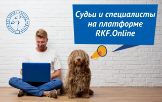 Раздел Судьи и специалисты РКФ на платформе RKF.Online