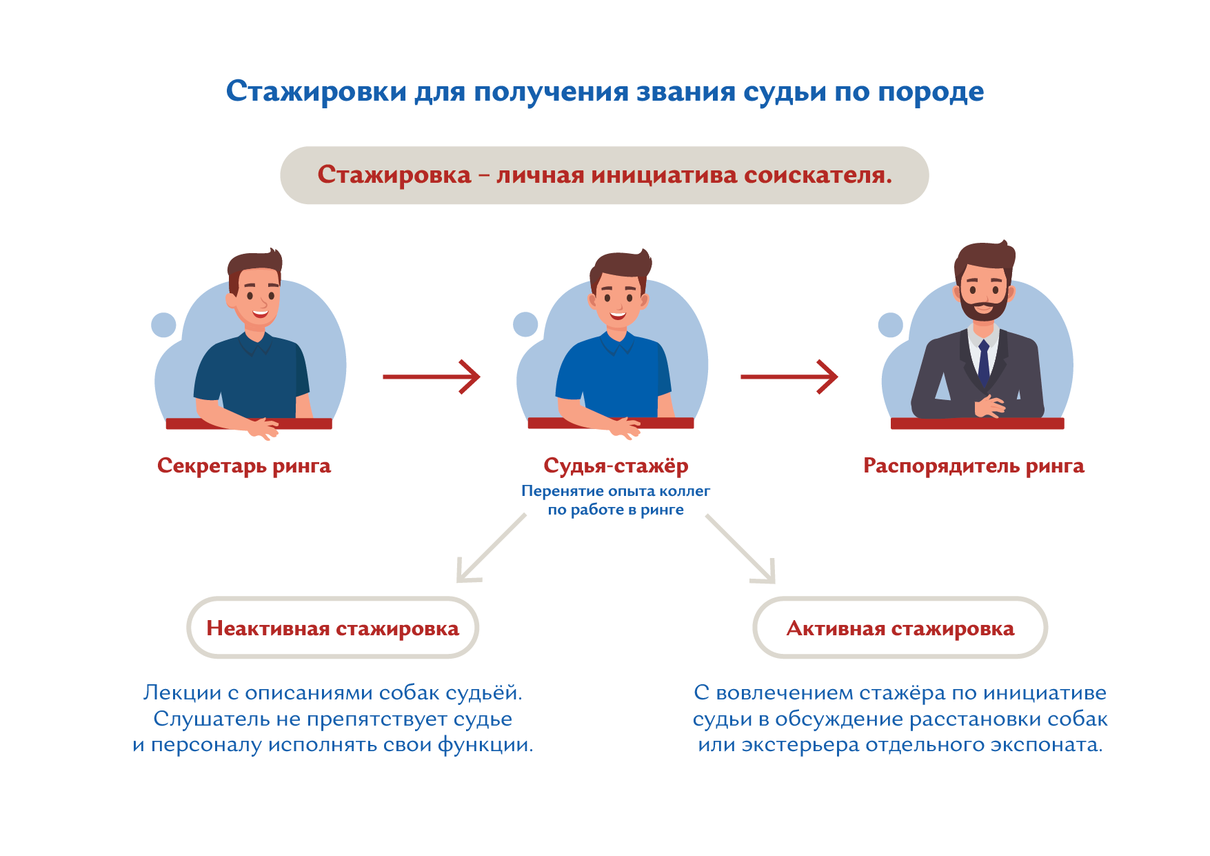 Как стать судьей по породе - РКФ