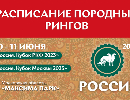 Расписание работы породных рингов на оба дня выставки «Россия 2023»