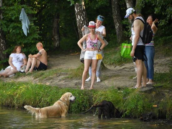 НАЗВАНЫ ПОРОДЫ СОБАК, КОТОРЫЕ ТЯЖЕЛО ПЕРЕНОСЯТ ЖАРУ