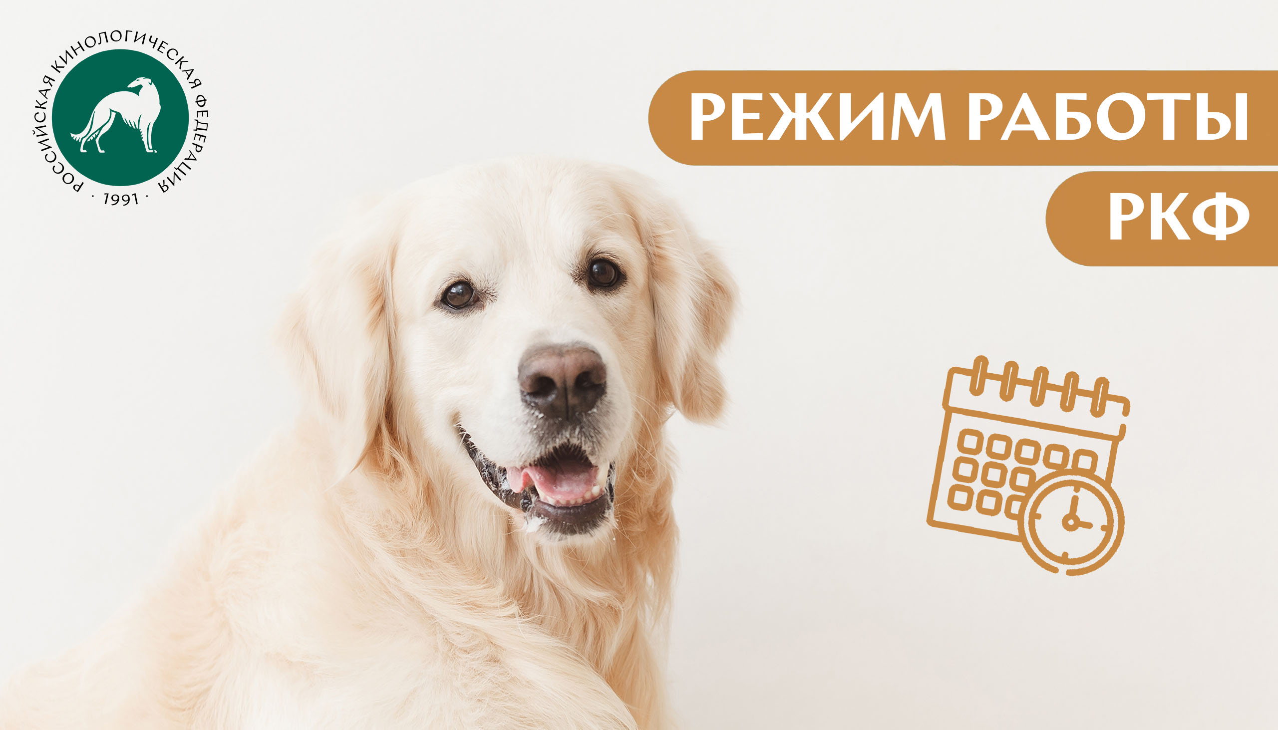 Режим работы офиса РКФ - РКФ