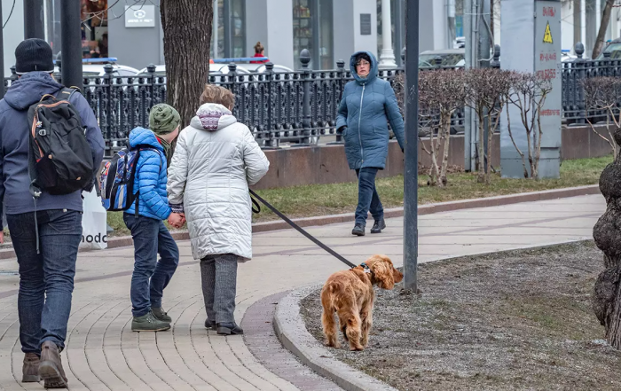 НАЗВАНЫ СУММЫ ШТРАФОВ ДЛЯ СОБАКОВОДОВ В МОСКВЕ