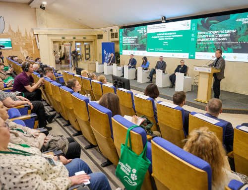 Всероссийский форум «Государство заботы: культура ответственного владения животными» прошёл 31 марта – 1 апреля 2026 в Общественной палате РФ