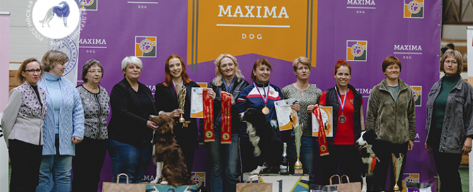 Чемпионат России по танцам с собаками